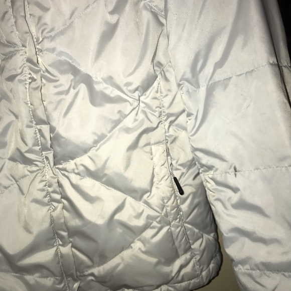 Meet your Posher, Gigi - Picture 2 of 2